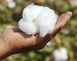 organic cotton